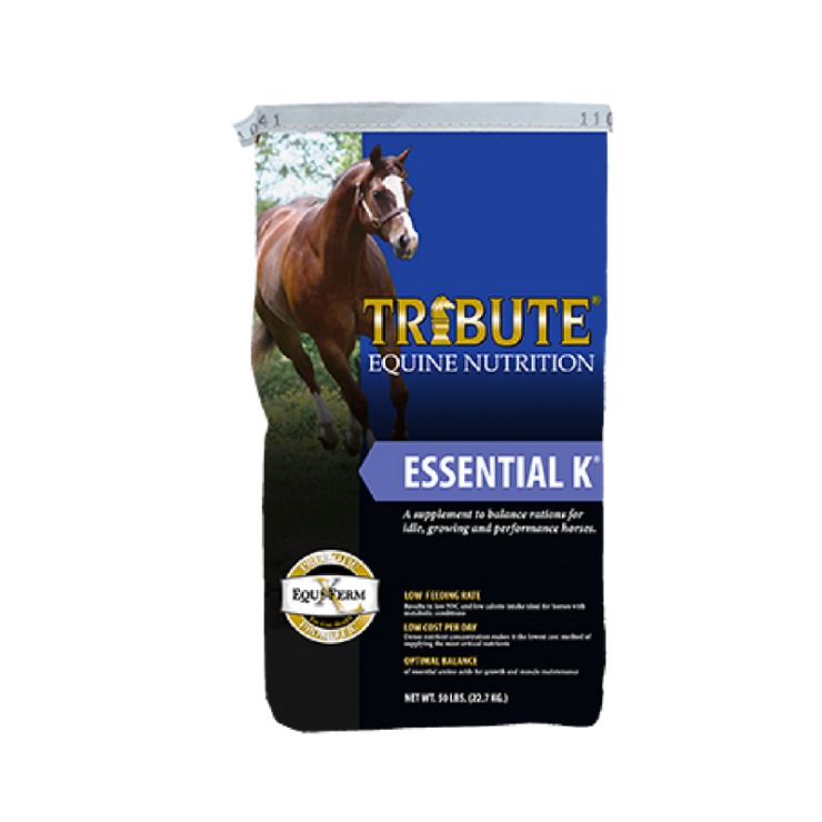 Tribute Essential K