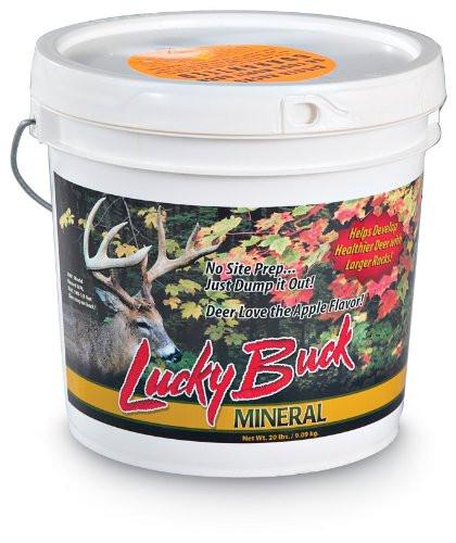 Lucky Buck Mineral in white pail.