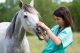 AdobeStock_Vet Examining Horse_83884709_preview