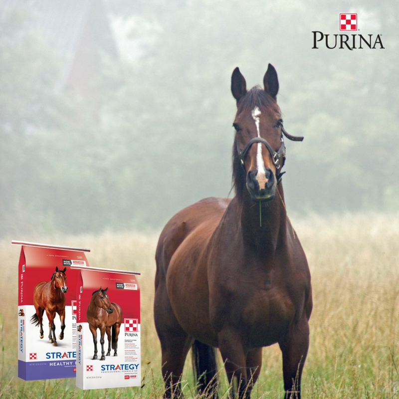 Purina Strategy Horse Feeds Product Updates Cherokee Feed Seed
