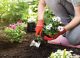 Standley Feed_Gardening_Featured Images