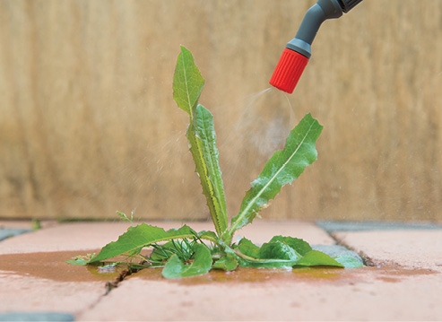 Herbicides, Fungicides, & Insecticides