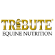 Tribute Logo