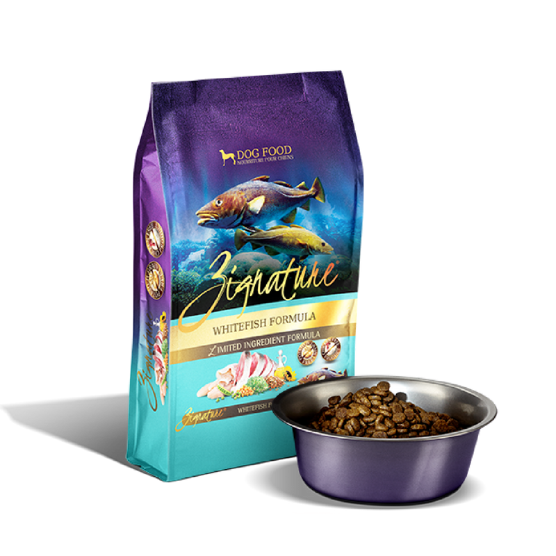 Zignature cat new arrivals