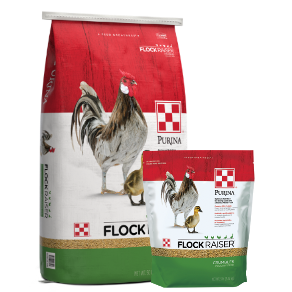 Purina Flock Raiser Crumbles