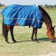 windbreaker horse blanket_preview