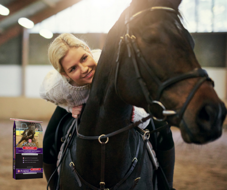 Managing Your Horse's Gastric Health