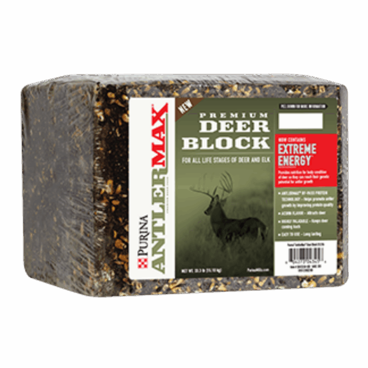 purina AntlerMax Deer Block