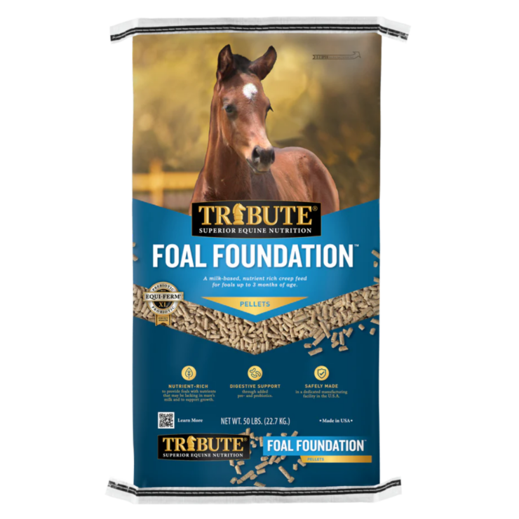 Tribute Foal Foundation pelleted horse feed. Blue 50-lb bag. Available at your local Cherokee Feed & Seed in Georgia.
