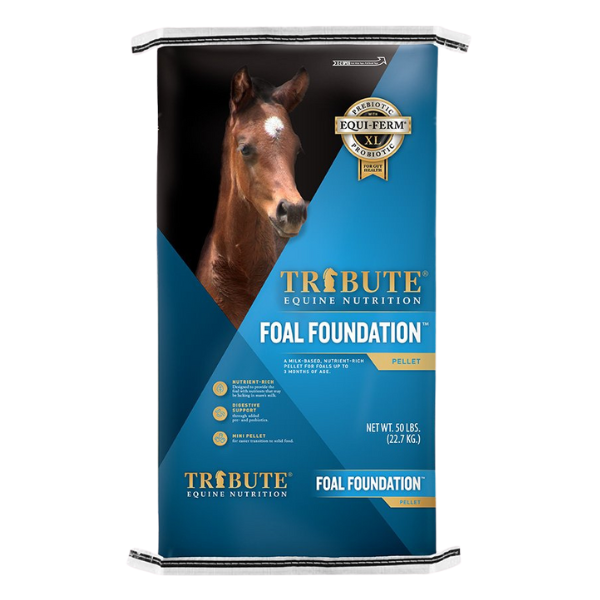 Tribute Foal Foundation pelleted horse feed. Blue 50-lb bag.