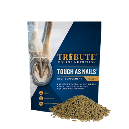 Tough As Nails, Hoof Supplement for Horses. Available at your local Cherokee Feed & Seed in Georgia.