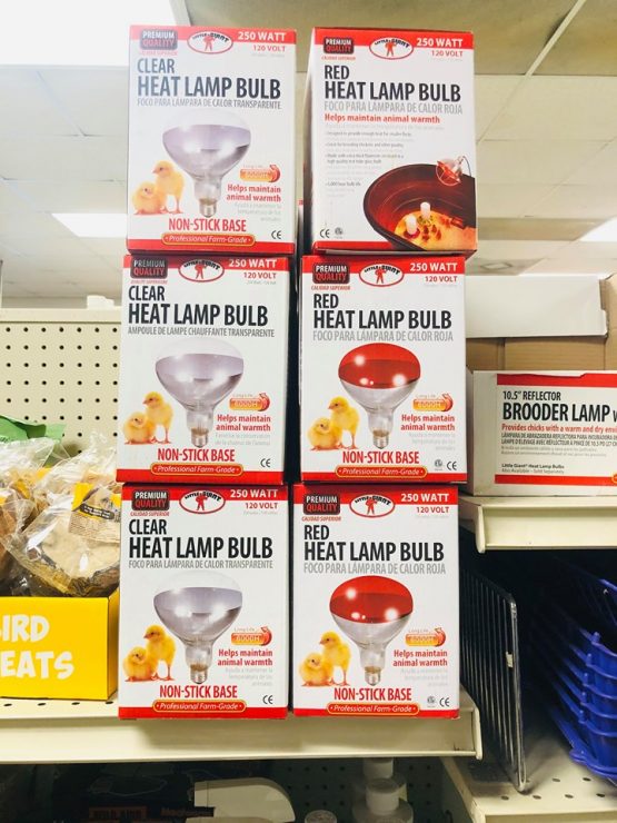 Heat Lamp Bulbs