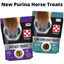 Horse Treats