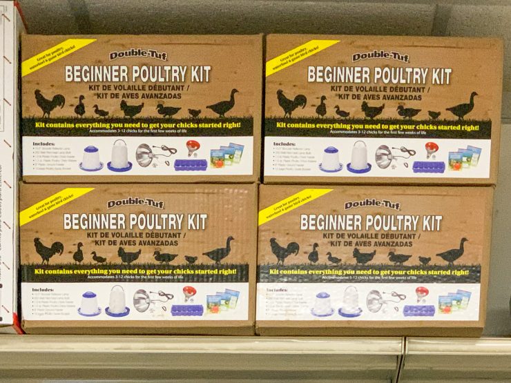 Chicken Supplies | Chick Starter Kits