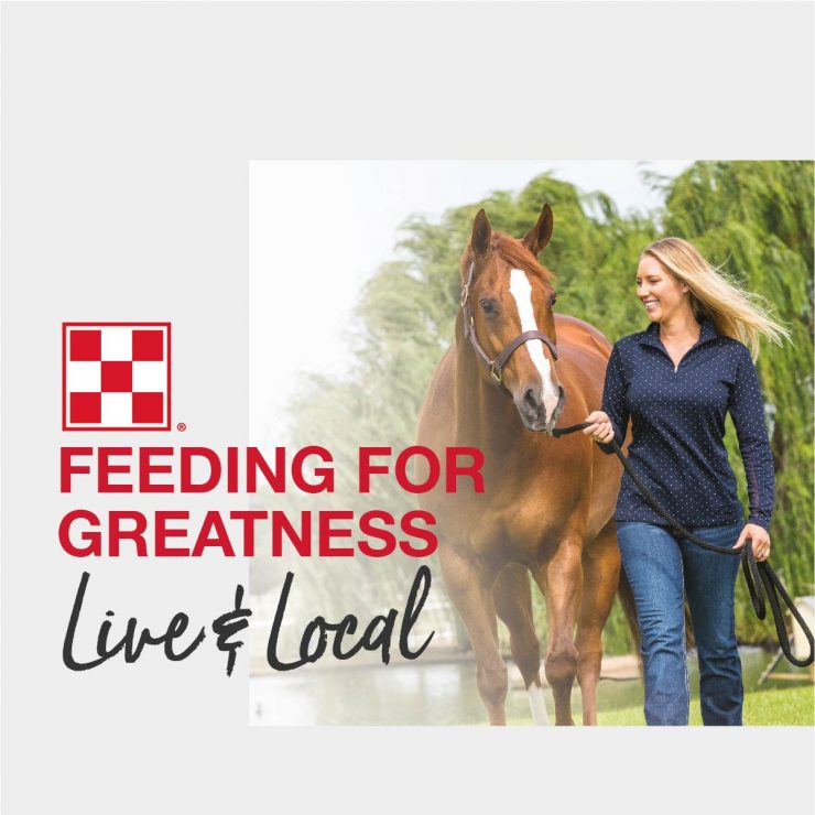 Evaluating horse feed costs