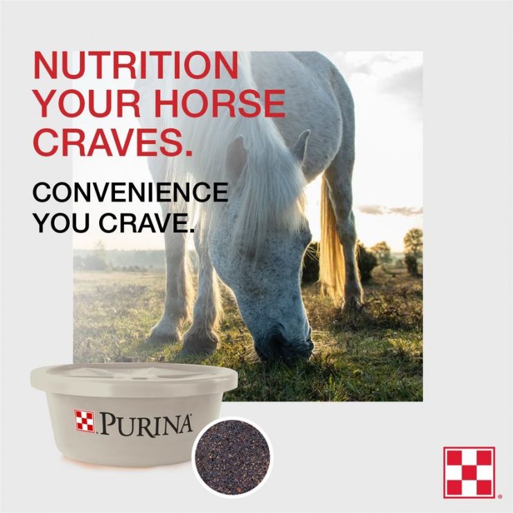 purina equitub