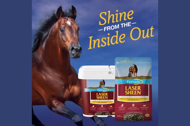 Farnam's Laser Sheen Skin & Coat Supplement. Brown horse with products.