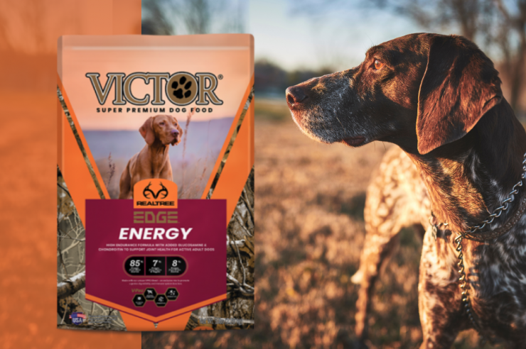 Victor RealTree Edge Energy Dog Food on Sale