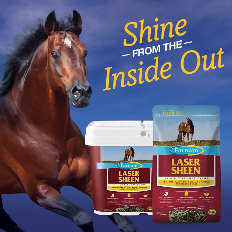 Farnam's Laser Sheen Skin & Coat Supplement