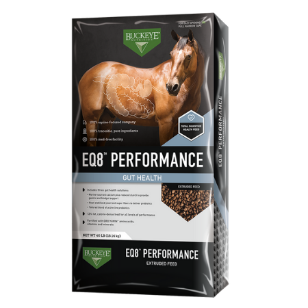 Buckeye EQ8 Performance Gut Health Feed for Horses. 40-lb equine feed bag.