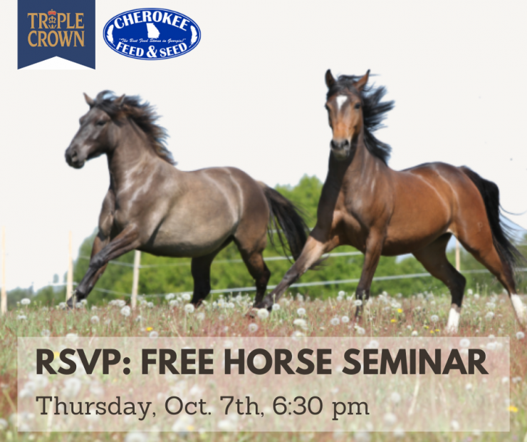 Horses in the field running, promotion for Free Horse Seminar