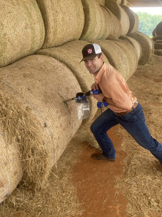 hay and forage testing process