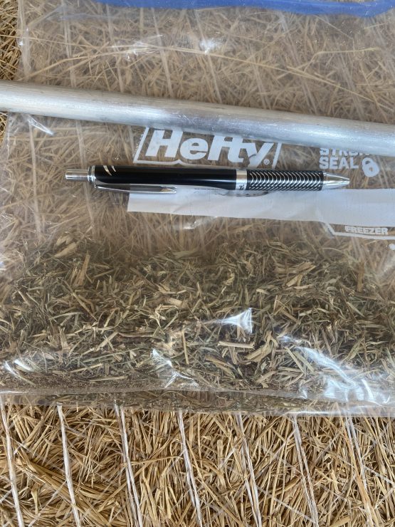 Hay & forage sample