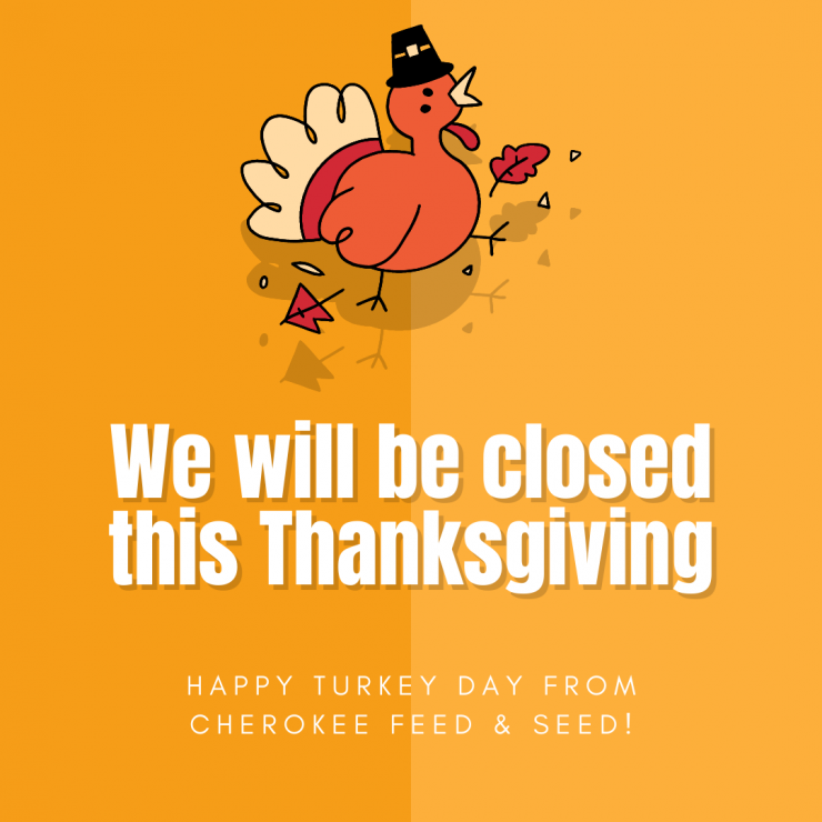 Closed for Thanksgiving