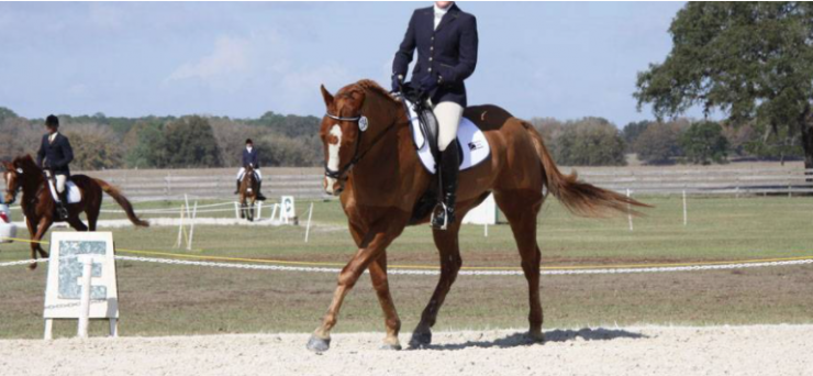 Getting Your Horse Back in Shape: an equestrian sits on top of a horse