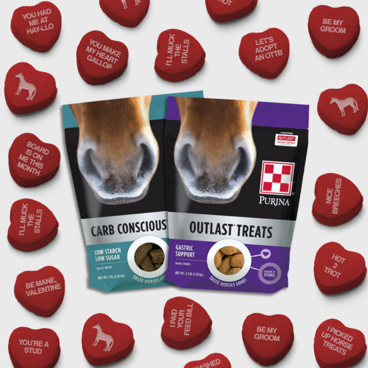 Purina Horse Treats Savings