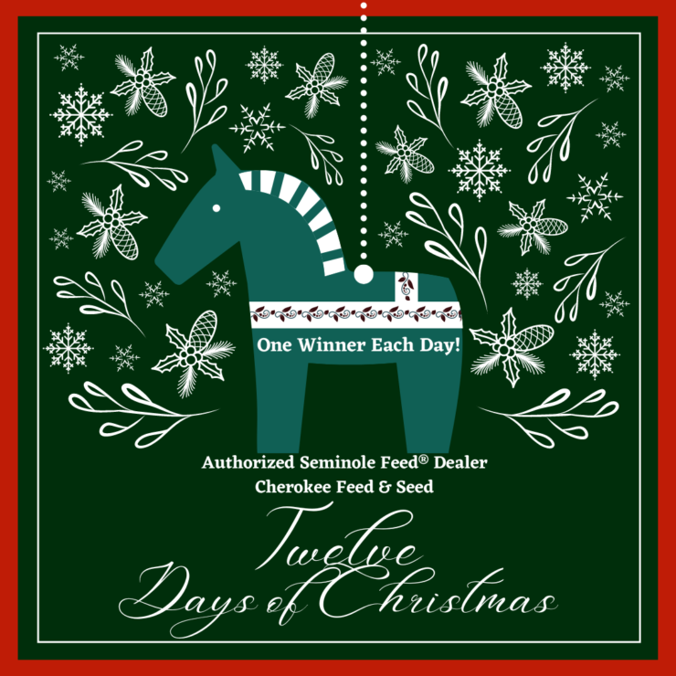 12 Days of Christmas Seminole Giveaways