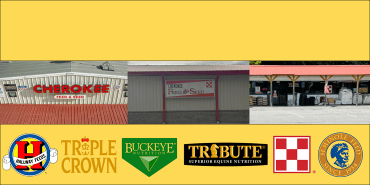 Yellow background with all three store fronts