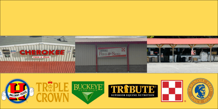 Yellow background with all three store fronts