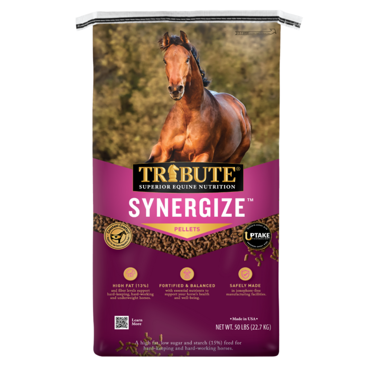 Tribute Synergize. 50-lb bag. Available at your local Cherokee Feed & Seed.
