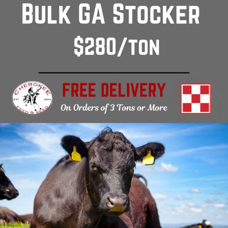Fill Your Cattle Feeders this Fall: 🍂🐄 Ready to fill your cattle feeders this fall? Look no further! 📣 Bulk GA Stocker now available at just $280/ton!