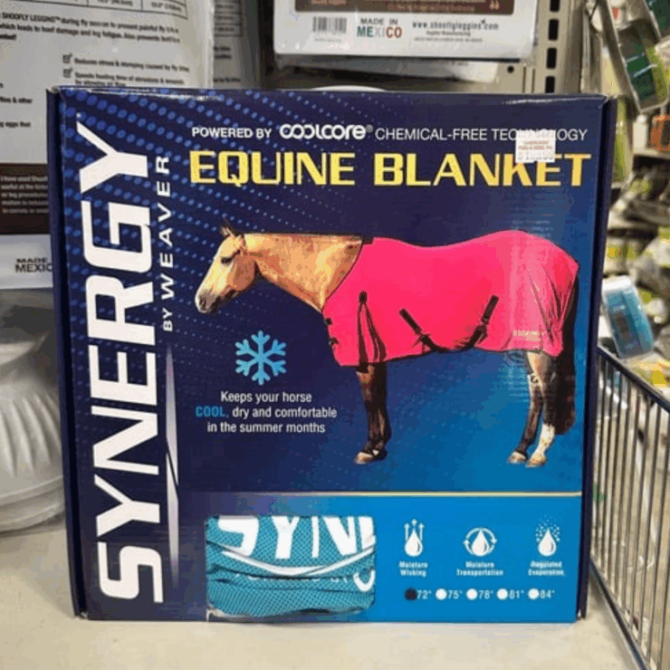 Horse blanket for cooler weather