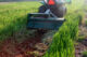 Start Your Spring Garden
