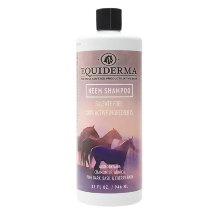 White bottle of Equiderma Neem Shampoo with purple label. 32-oz.