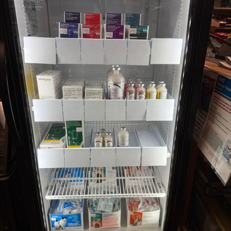 Cooler filled with vaccines available at our Ball Ground store