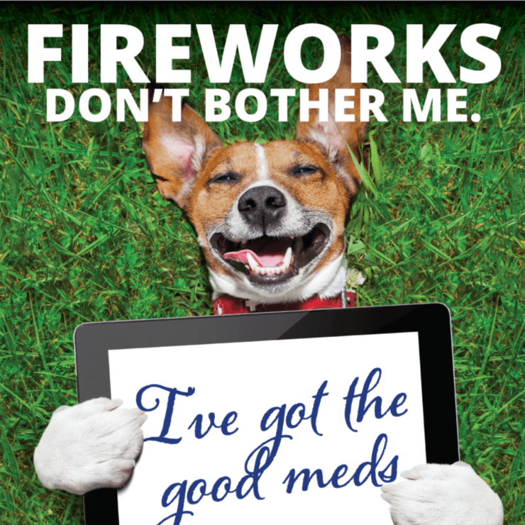 Keep Pets Calm on July 4th - photo of dog smiling holding a sign that says fireworks don't bother me, I've got all the good meds