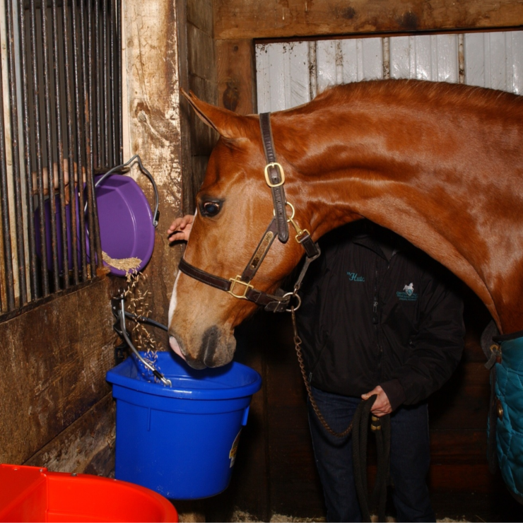 Buy American with Miller Manufacturing Co., photo features horse using bucket
