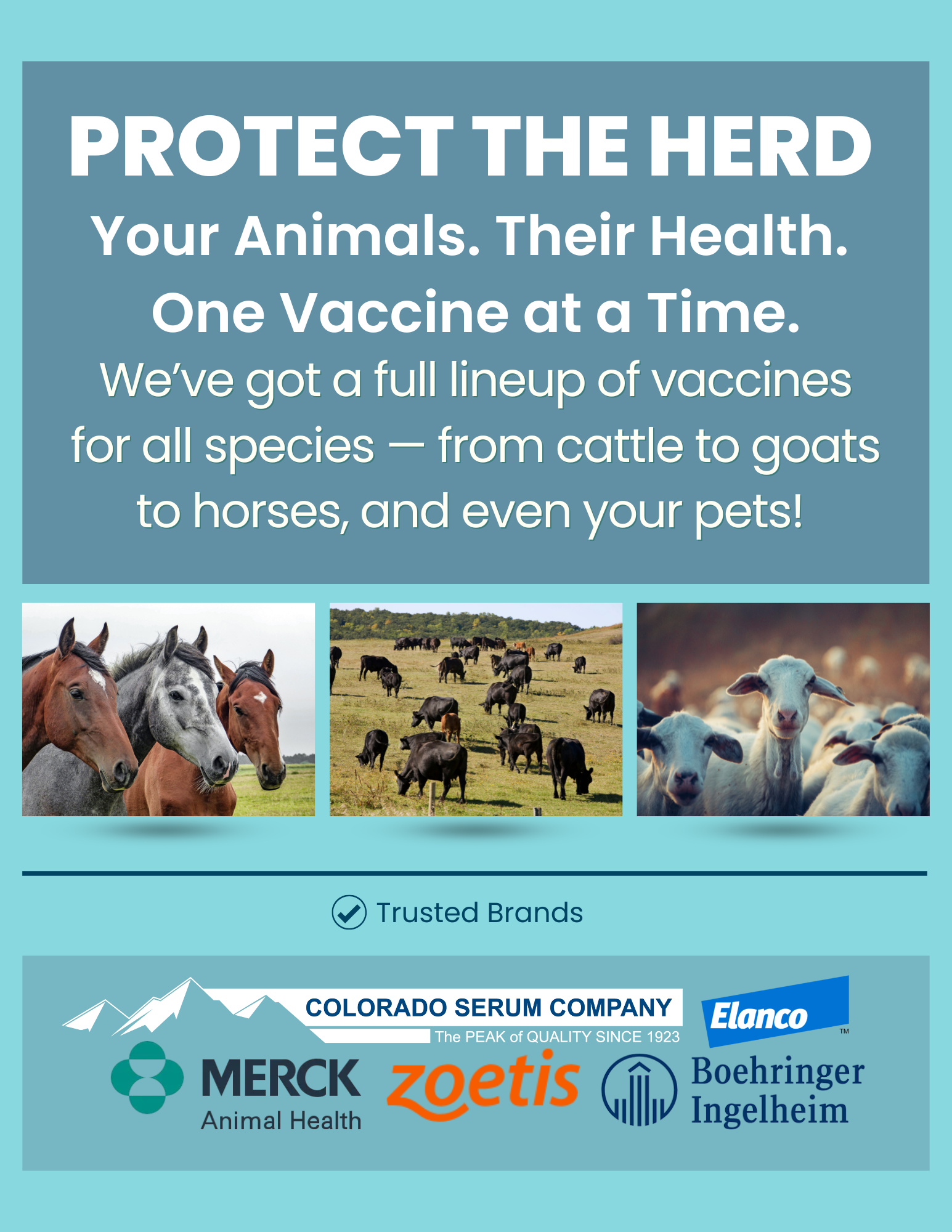 Protect Your Herd with Vaccines Available 
