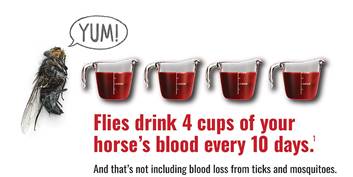 Fly graphic stating flies drink FOUR cups of horse's blood every 10 days.