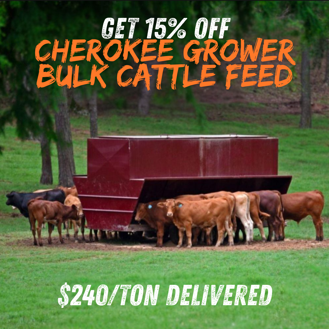 Cherokee bulk cattle feed - Cherokee Feed & Seed