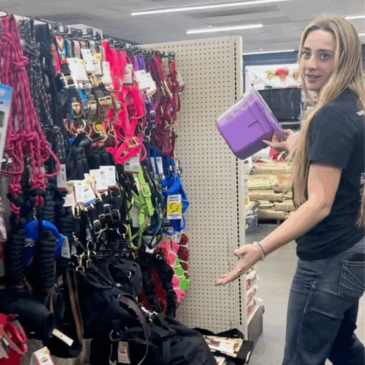 Our employee, Stella standing near horse accessories.