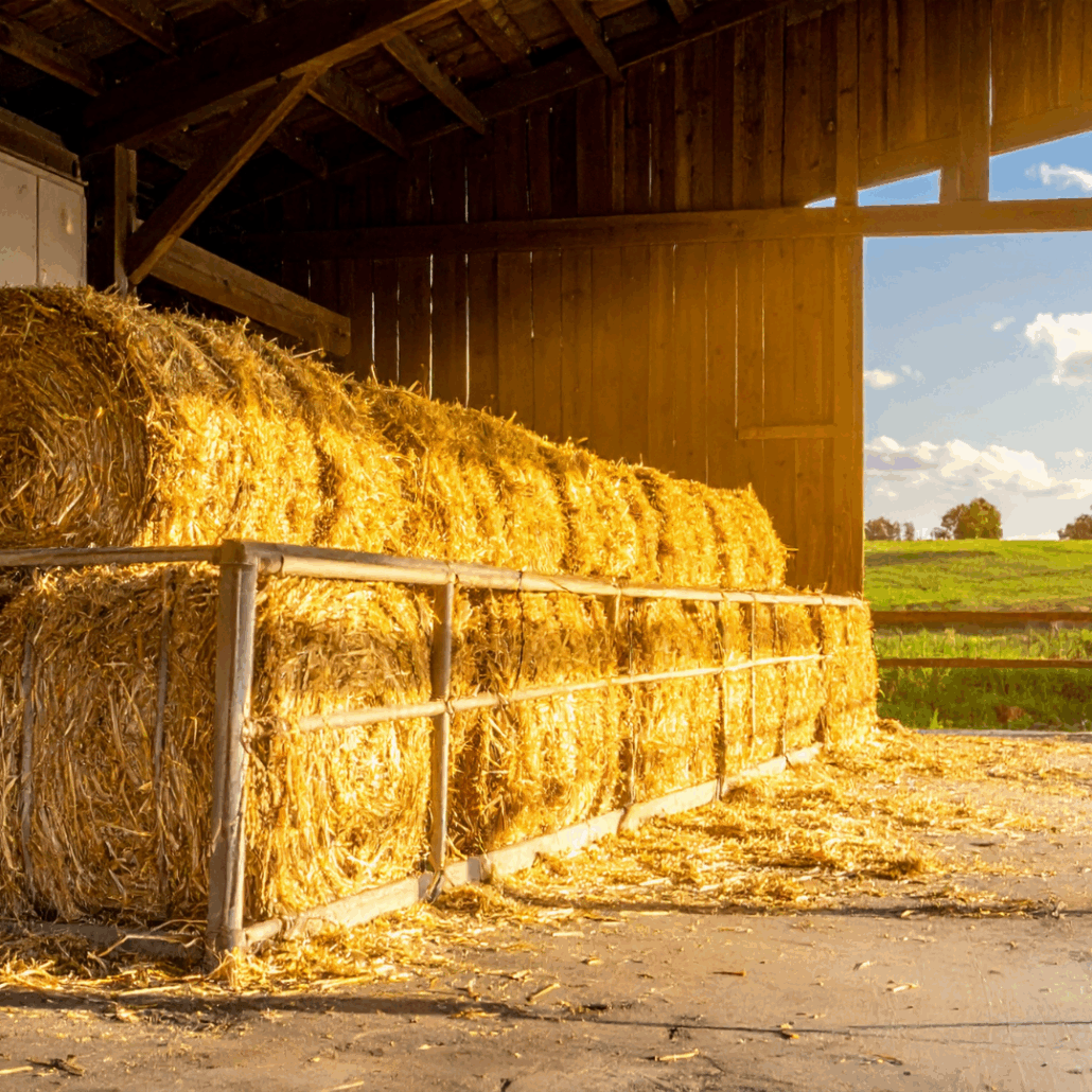 How to Prevent Hay Mold in Winter Storage - Cherokee Feed & Seed