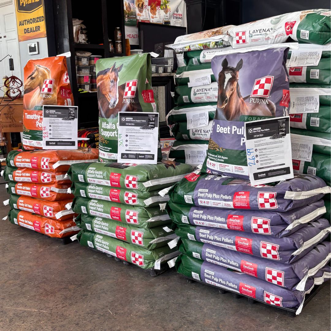 â¢ Forage Beet Pulp Plus, Forage Alfalfa Gastric Support, and Forage Timothy-Teff picture on display 