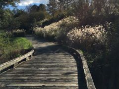 For the Love of a Horse Golf Tournament 2017