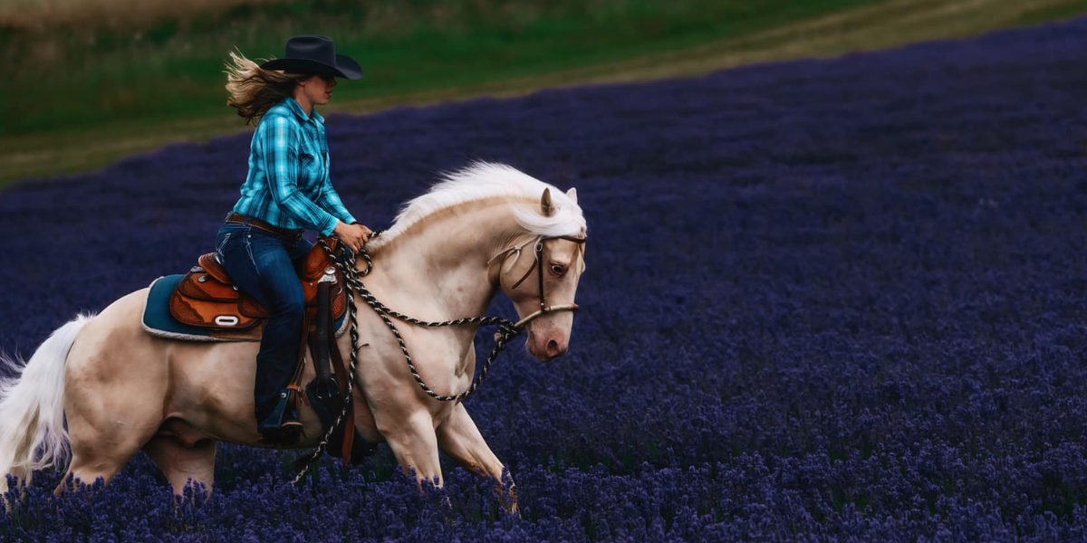 Equiderma Grooming Products